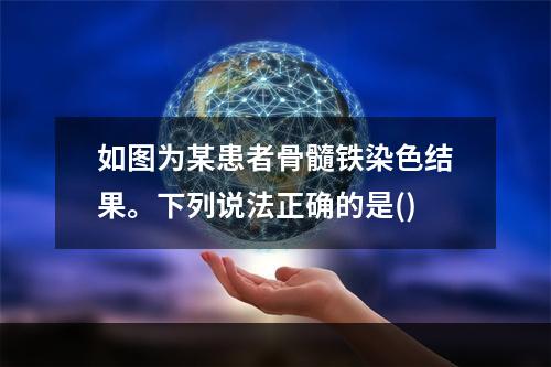 如图为某患者骨髓铁染色结果。下列说法正确的是()