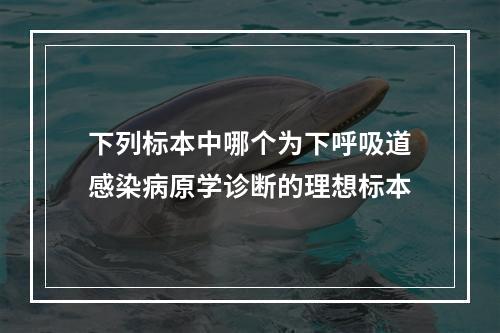 下列标本中哪个为下呼吸道感染病原学诊断的理想标本