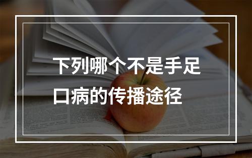 下列哪个不是手足口病的传播途径