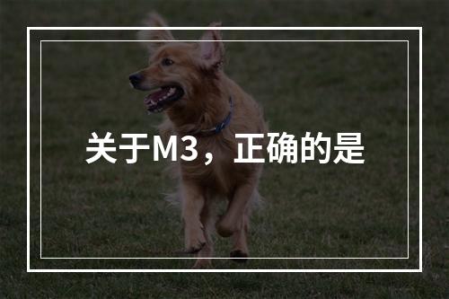 关于M3，正确的是