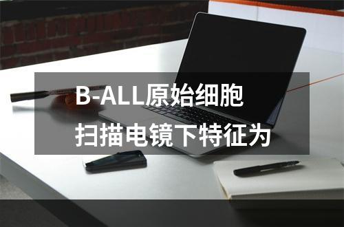 B-ALL原始细胞扫描电镜下特征为