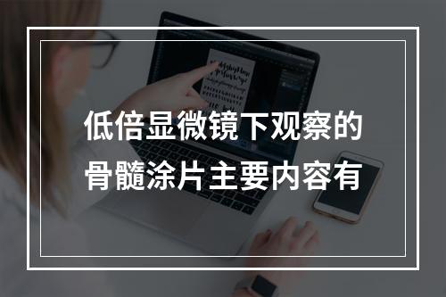 低倍显微镜下观察的骨髓涂片主要内容有