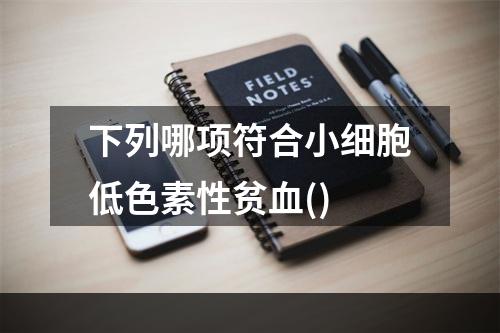 下列哪项符合小细胞低色素性贫血()