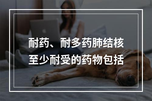 耐药、耐多药肺结核至少耐受的药物包括