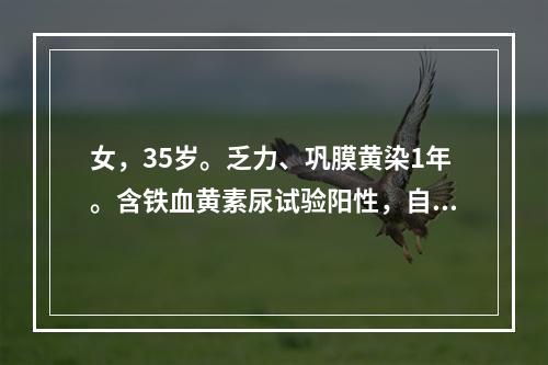 女，35岁。乏力、巩膜黄染1年。含铁血黄素尿试验阳性，自身溶