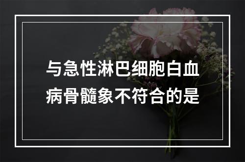 与急性淋巴细胞白血病骨髓象不符合的是