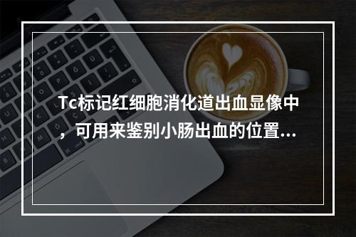 Tc标记红细胞消化道出血显像中，可用来鉴别小肠出血的位置的是