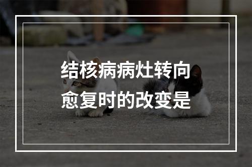 结核病病灶转向愈复时的改变是