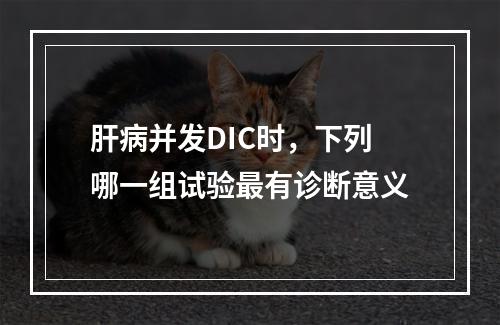 肝病并发DIC时，下列哪一组试验最有诊断意义