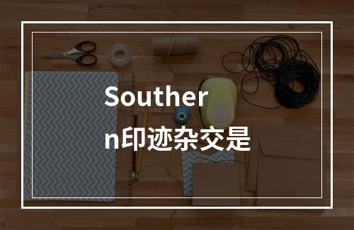 Southern印迹杂交是