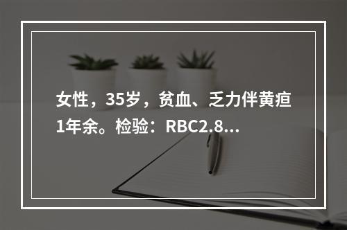 女性，35岁，贫血、乏力伴黄疸1年余。检验：RBC2.8×1