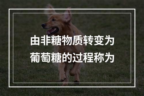 由非糖物质转变为葡萄糖的过程称为