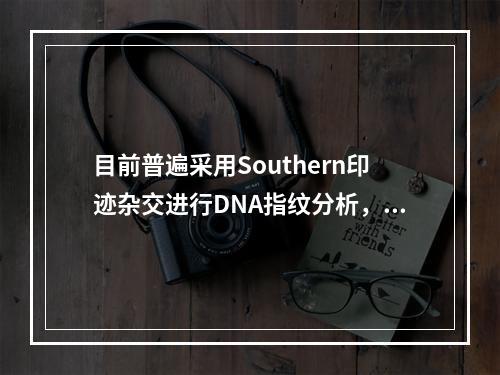 目前普遍采用Southern印迹杂交进行DNA指纹分析，用于