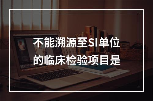 不能溯源至SI单位的临床检验项目是