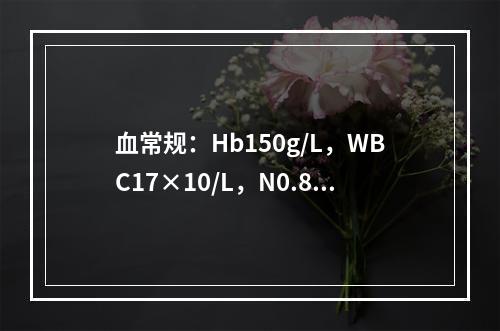 血常规：Hb150g/L，WBC17×10/L，N0.83，