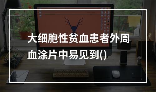 大细胞性贫血患者外周血涂片中易见到()