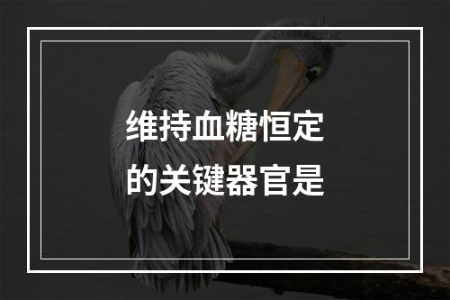 维持血糖恒定的关键器官是