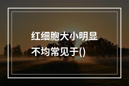 红细胞大小明显不均常见于()