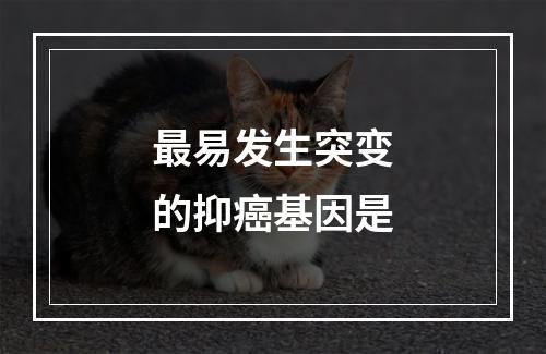 最易发生突变的抑癌基因是