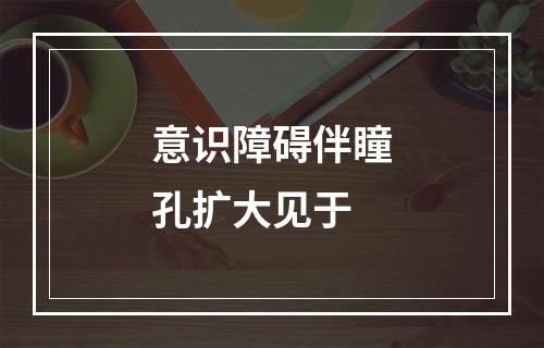 意识障碍伴瞳孔扩大见于