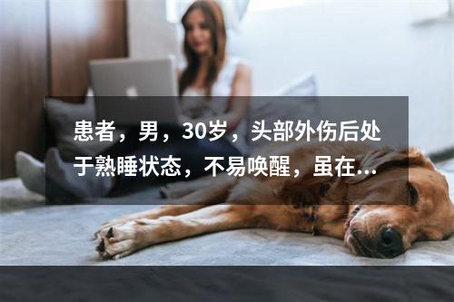 患者，男，30岁，头部外伤后处于熟睡状态，不易唤醒，虽在强烈