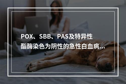 POX、SBB、PAS及特异性酯酶染色为阴性的急性白血病是(