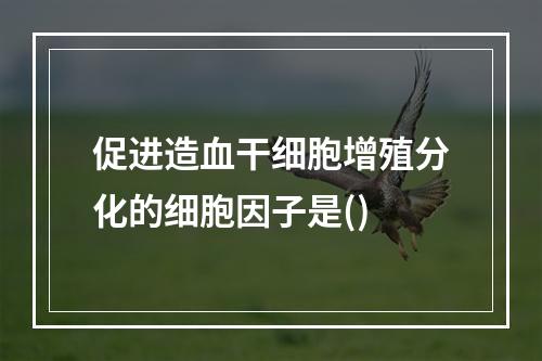 促进造血干细胞增殖分化的细胞因子是()