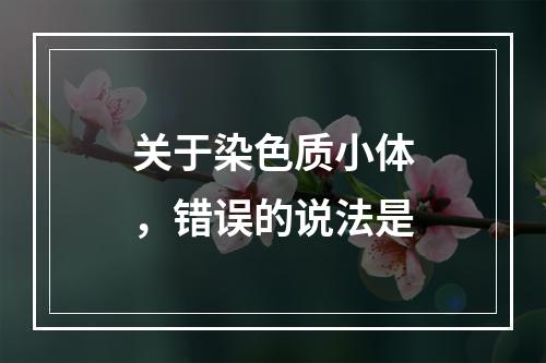 关于染色质小体，错误的说法是