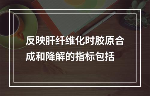 反映肝纤维化时胶原合成和降解的指标包括