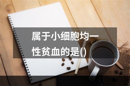 属于小细胞均一性贫血的是()