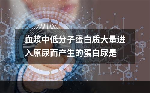 血浆中低分子蛋白质大量进入原尿而产生的蛋白尿是