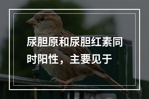 尿胆原和尿胆红素同时阳性，主要见于