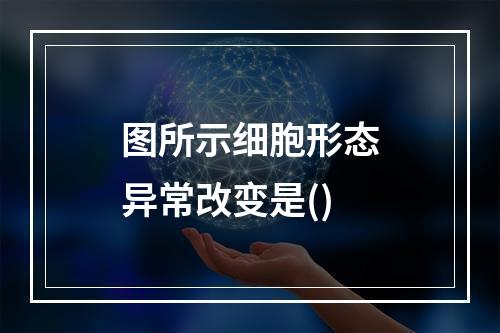 图所示细胞形态异常改变是()