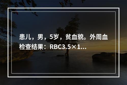 患儿，男，5岁，贫血貌。外周血检查结果：RBC3.5×10/