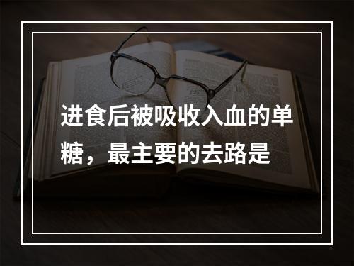 进食后被吸收入血的单糖，最主要的去路是