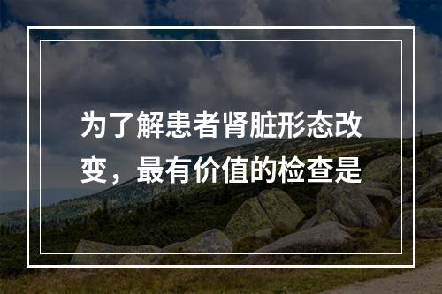 为了解患者肾脏形态改变，最有价值的检查是