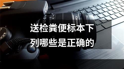 送检粪便标本下列哪些是正确的