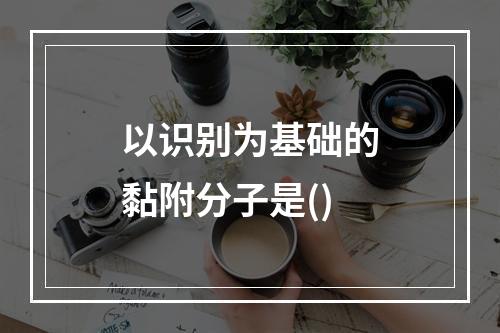 以识别为基础的黏附分子是()