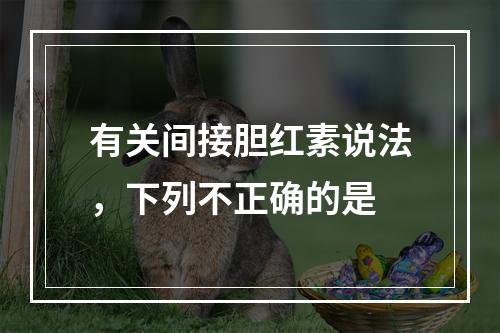 有关间接胆红素说法，下列不正确的是