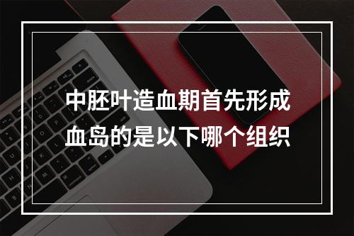 中胚叶造血期首先形成血岛的是以下哪个组织