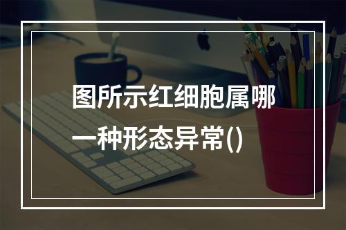 图所示红细胞属哪一种形态异常()