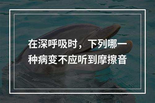 在深呼吸时，下列哪一种病变不应听到摩擦音