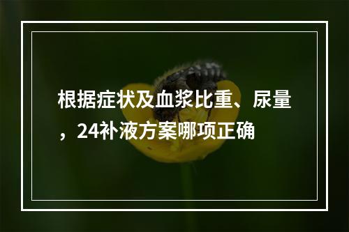 根据症状及血浆比重、尿量，24补液方案哪项正确