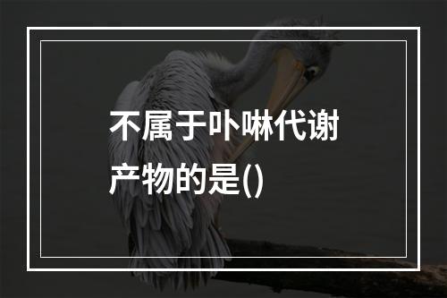 不属于卟啉代谢产物的是()