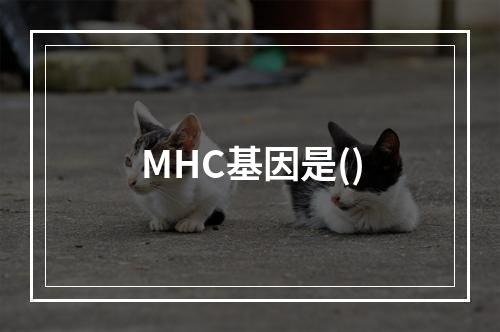 MHC基因是()