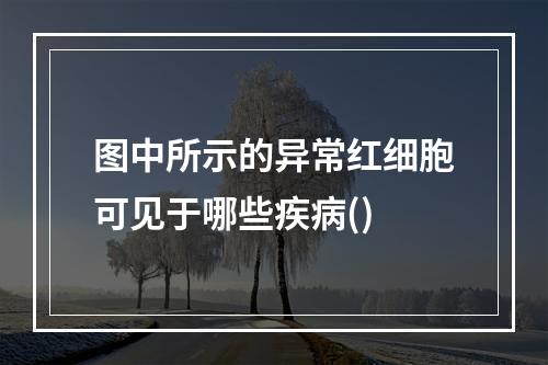 图中所示的异常红细胞可见于哪些疾病()