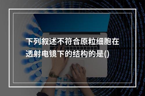 下列叙述不符合原粒细胞在透射电镜下的结构的是()