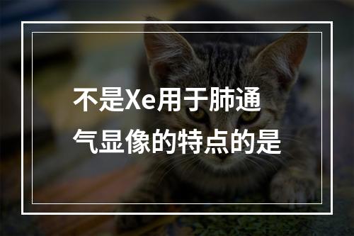 不是Xe用于肺通气显像的特点的是