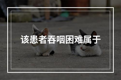 该患者吞咽困难属于