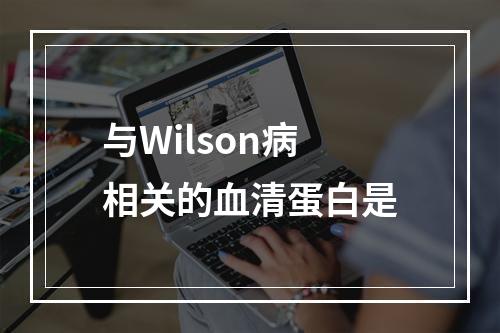 与Wilson病相关的血清蛋白是